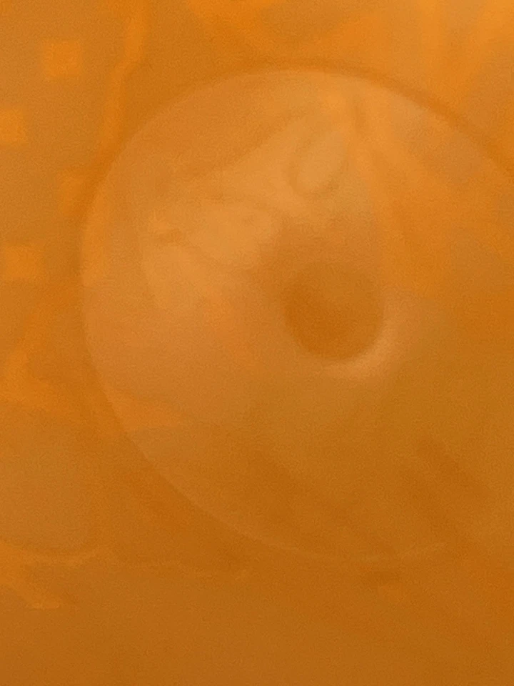 Innova Boss David Wiggins 3X World Disc Golf Distance Champion 159g - Image 4 of 4