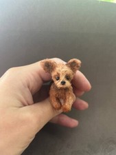 puppies for adoption