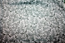 WHITE TIPPED GREN/GRAY LEAVES - 100 COTTON FABRIC