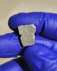 NEA 083 Lunar Meteorite 1.233g Slice Granulitic Breccia Libya 2024 — photo 9
