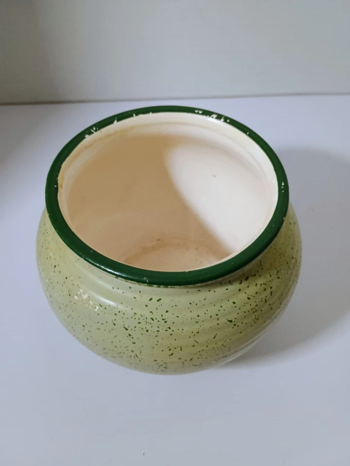 Maceta verde pintada a mano con diseño de flor rosa rosa Foto 4 de 4