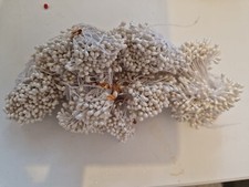 100-Pack Mini Double Heads Artificial Flower Stamen Pistil Ivory Pearl D
