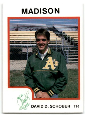1987 ProCards David Schober Madison Muskies #489