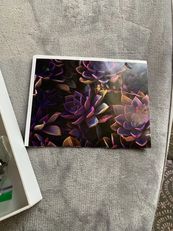 BetterCo Purple Succulents 1000 pc Puzzle Adult Decompression Toy Gift Rare open - Image 4 of 4