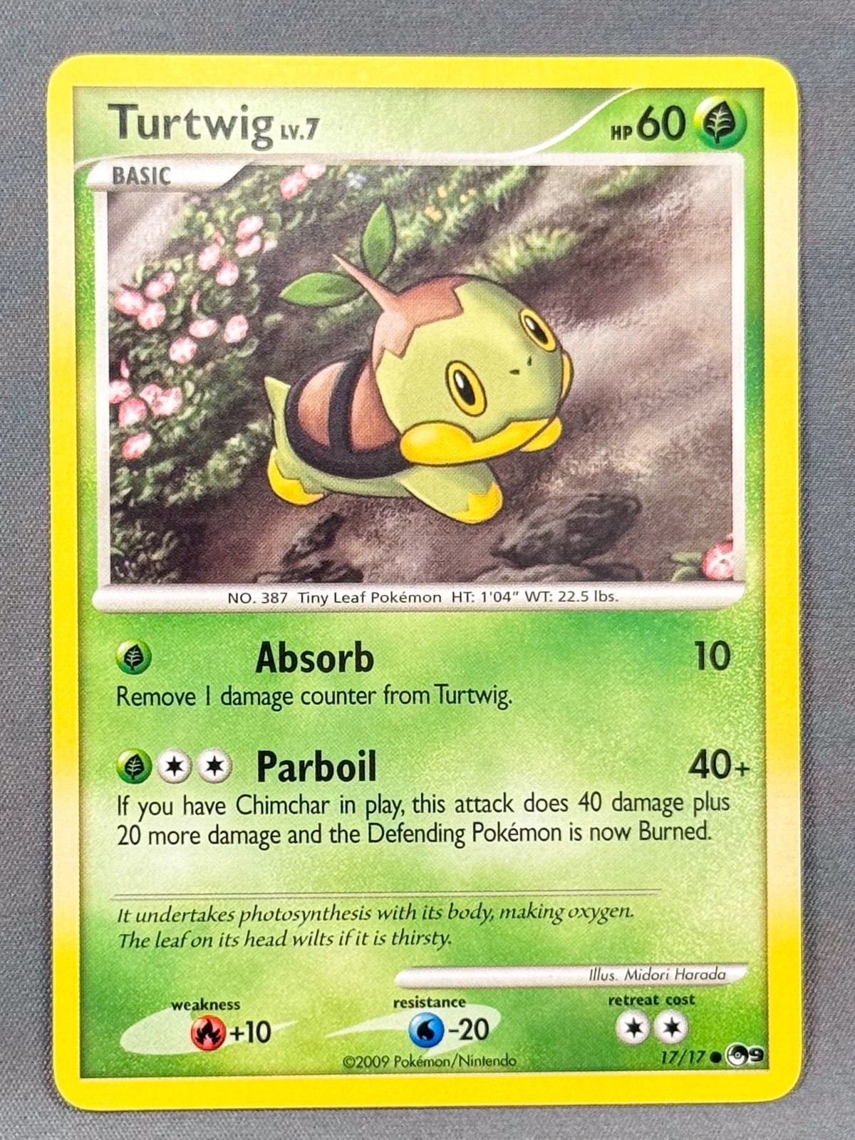 NM Turtwig 17/17 Common POP Series 9 Pokemon Midori Harada
