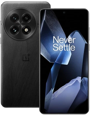 OnePlus 13 · 256GB