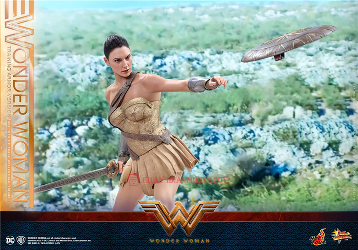 Hot Toys MMS424 Wonder Woman 1/6 Wonder Woman Training Armor Ver