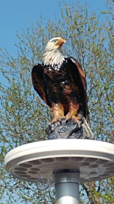 Solar Flagpole Light Disk Light Eagle Topper Ball Ornament Solar Disc Light