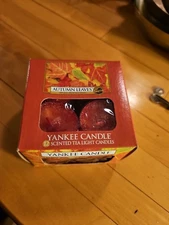 YANKEE CANDLE AUTUMN LEAVES 12 SCENTED TEA LIGHT T/L BOX CANDLES 