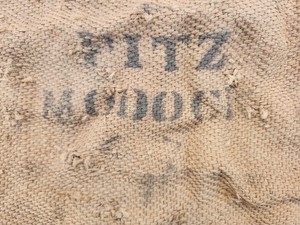 antique fitz modoc mine ore bag remnant (Lookout City) Inyo county, Calif 1875
