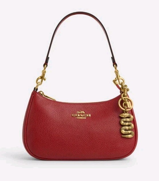 NWT Coach Snake bag charm | eBay