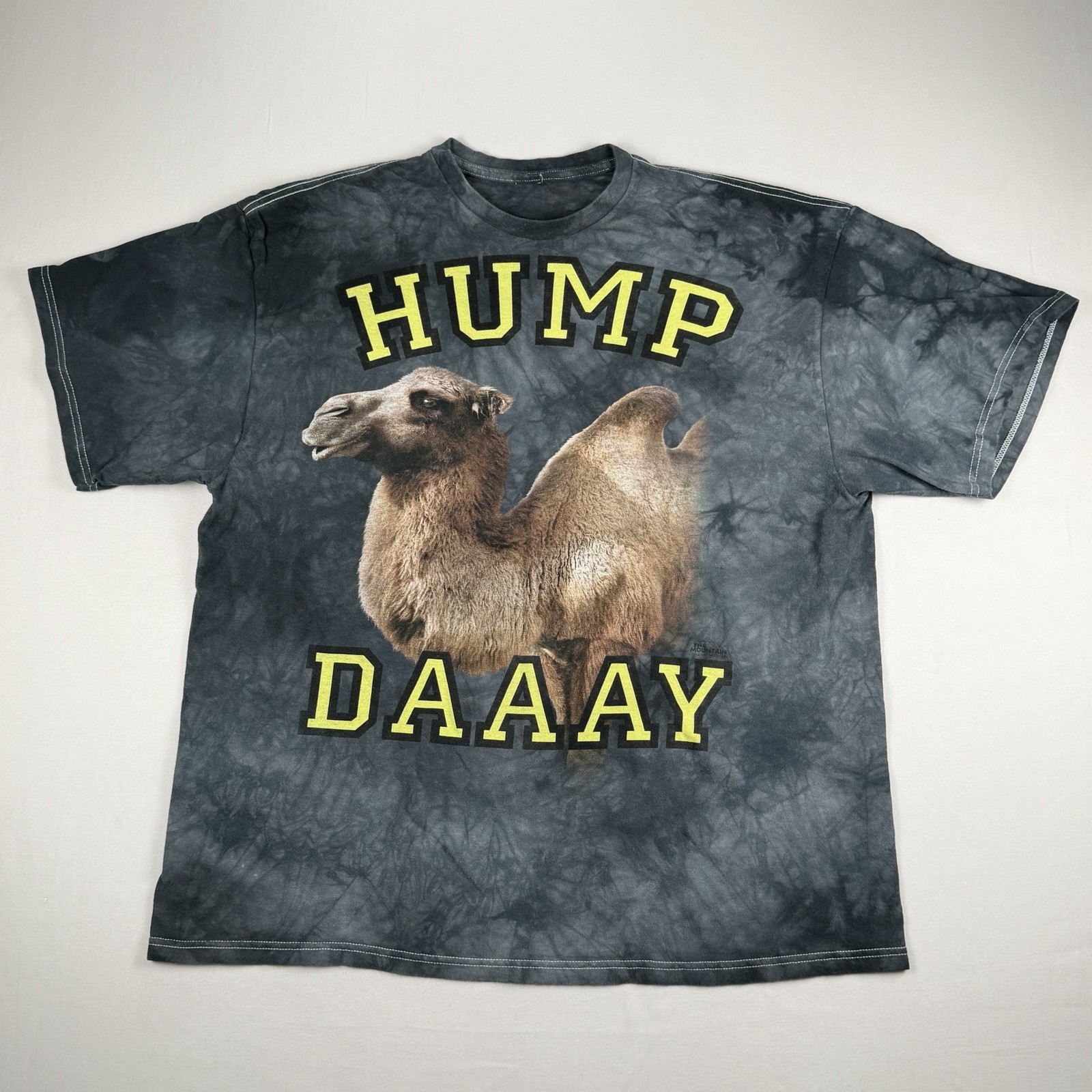 The Mountain Hump Daaay Camel Tie Dye Graphic T Shirt Mens XL Animal Tee