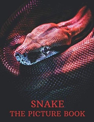 Snake: the Picture Book of Amazing Snake for Snake Love -  NEW Lisa Publisher 20