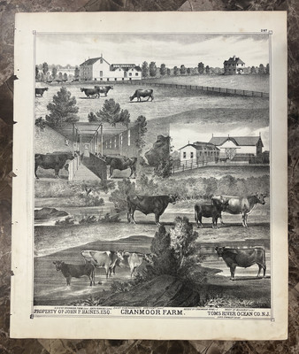 Original 1878 John Haines s Cranmoor Farm Engraving Toms River New Jersey