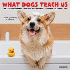 What Dogs Teach Us 2026 7 X 7 Mini Wall Calendar (Bookbook - Detail Unspecified)