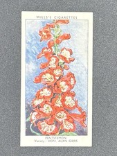1939 Wills Garden Flowers #37 Penstemon Hon Alan Gibbs Tobacco Card