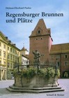 Regensburger Brunnen und Plätze von Helmut-Eberhard Paulus (1998, Klappenbroschur)