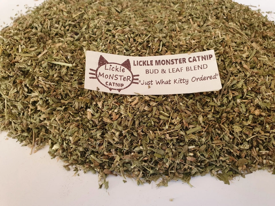 Hierba Gatera - Premium Natural Orgánico Seco Gato Nip - Ideal para Juguetes Ejercicio ¡Juego!! - Imagen 2 de 4