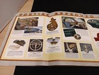 Picture 18 of 21