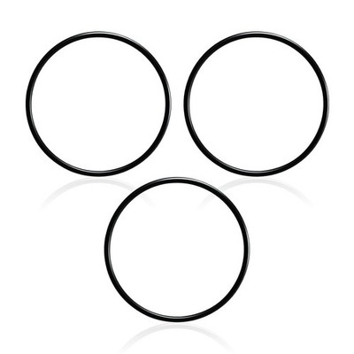59000600 O Ring Ersatzteil für Pentair für Fns Plus Pool und Spa Filter