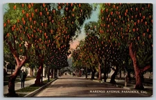 Vintage Marengo Avenue Pasadena CA Orange Trees Linen Postcard