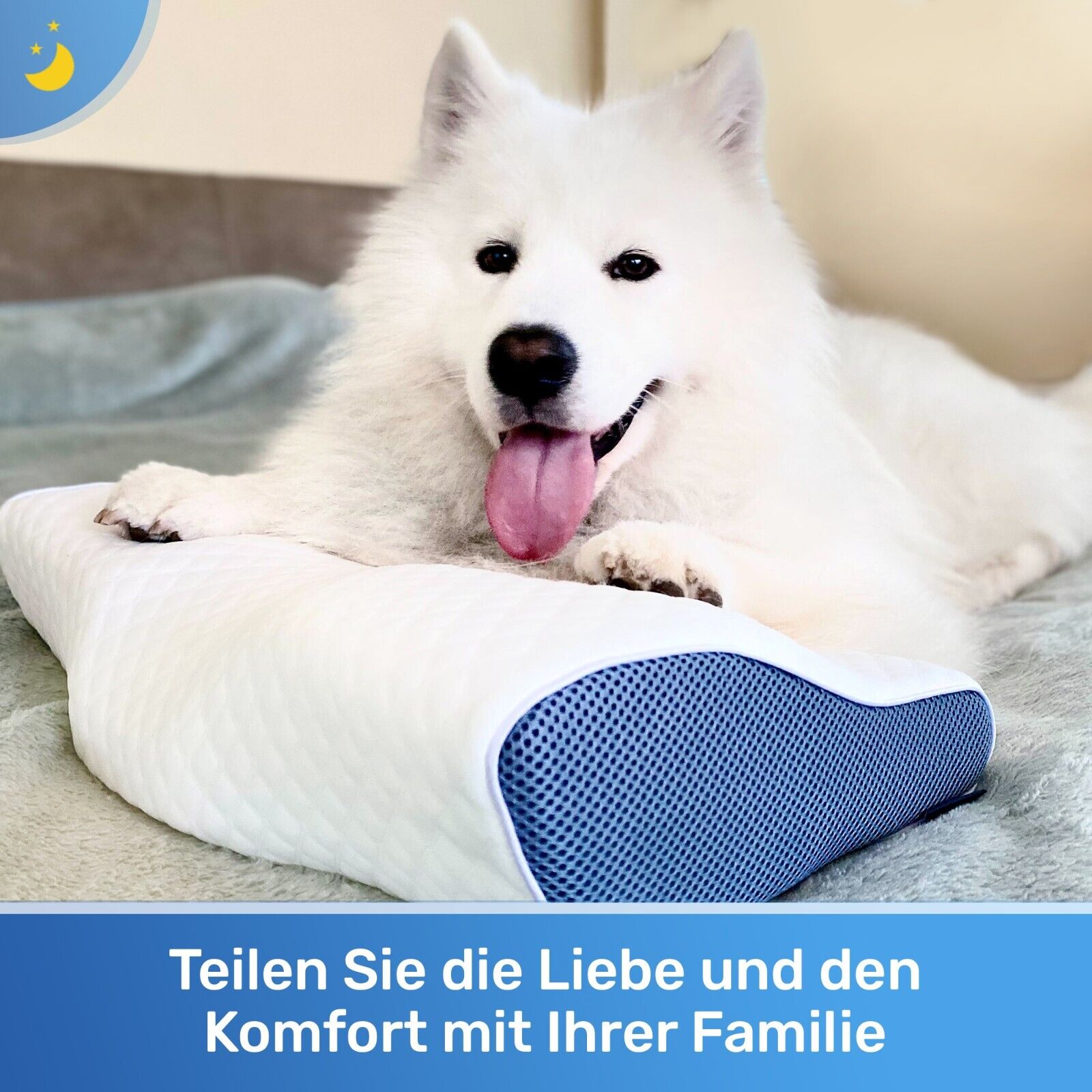 Derila Memory Foam Kopfkissen für Seiten, Rücken und Bauchschläfer