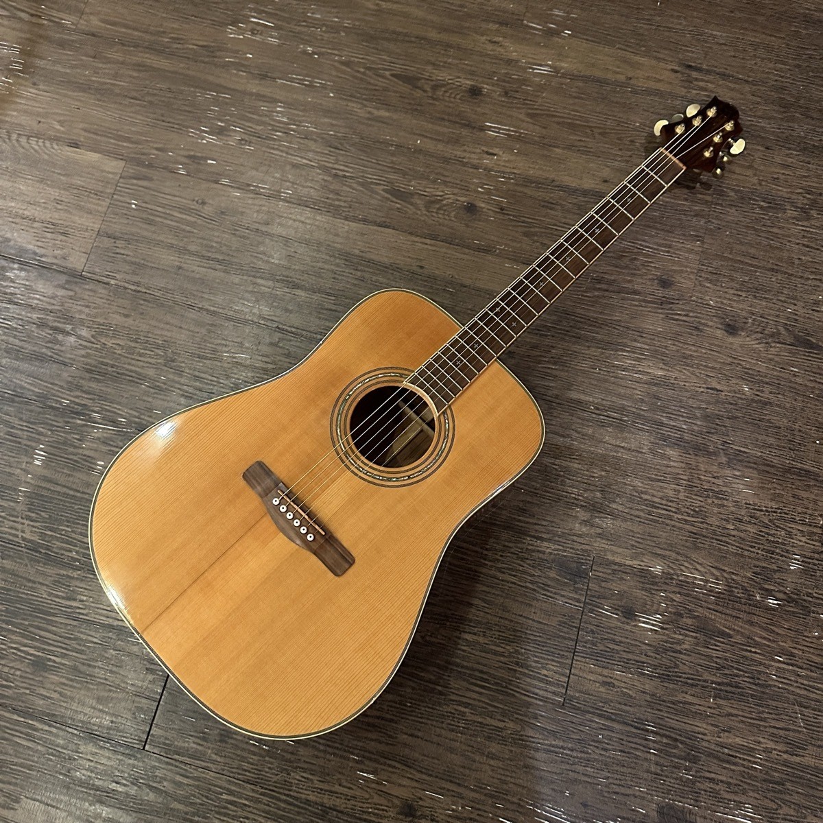 Greg Bennett ASDM Acoustic Guitar with Hard Case | eBay