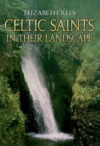 Celtic Saints In Their Landscape by Elizabeth Rees - 9781445601083