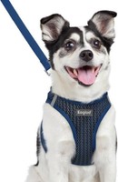 Hundegeschirr MittelgroßE Hunde Leichte Atmungsaktive Mit Leine FüR 1 StüCk