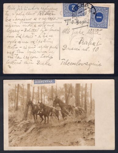 CZECHOSLOVAKIA 1930 Two Postage Due Stamps on Horse Riding Party Photo Postcard