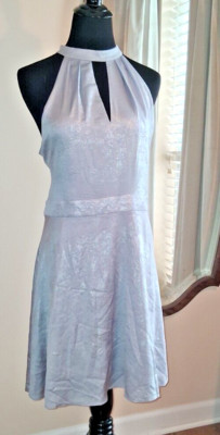 NWT Express Dress Silver Sparkle Shimmer Fit and Flare Size large lined