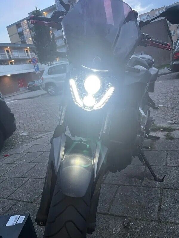 Bild 11 von 12