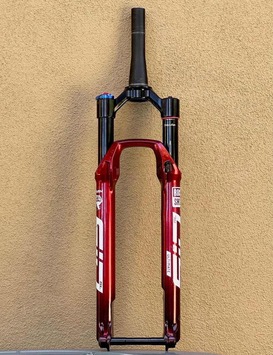 Rock shox brain 29 hot sale