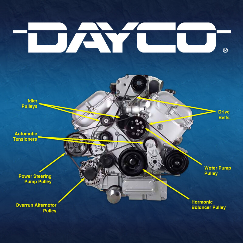 Dayco Timing Belt Kit Inc Waterpump for Audi 80 A4 B5 A6 C4 A8 D2 ...