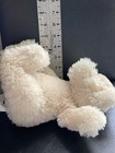 Bild 9 von 12