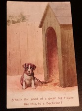 Vintage Collectable Comic Postcard - What's The Good Of A Great Big House ......