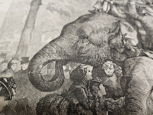 Original 1871 Elephants In London Zoo JUMBO - Picture 3 of 3