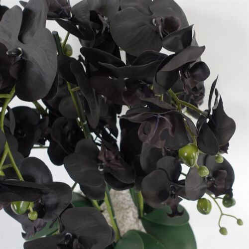 Maceta artificial de orquídea negra con cerámica blanca - Imagen 4 de 4
