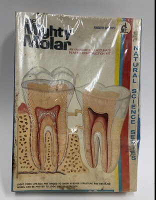 Vintage Lindberg The Mighty Molar Model Kit Sealed Natural Science Unopened