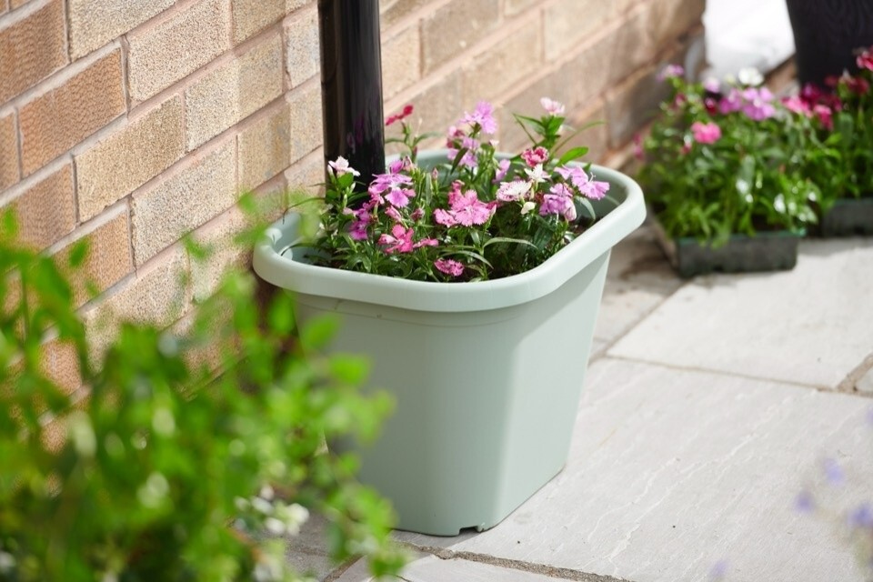 Clever Pots Downpipe Plant Pot Drain Pipe Flower Pot Garden Planter