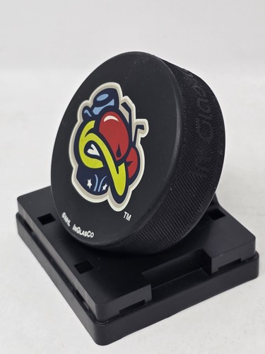 NHL Columbus Blue Jackets Unsigned InGlasCo Official Hockey Game Puck VTG 2000 - Picture 10 of 13