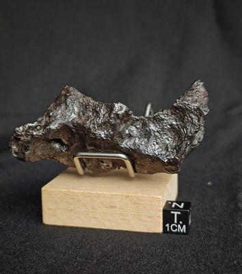 KAALIJARV historic iron meteorite , CRATERMAKER 182g Estonia Kaali
