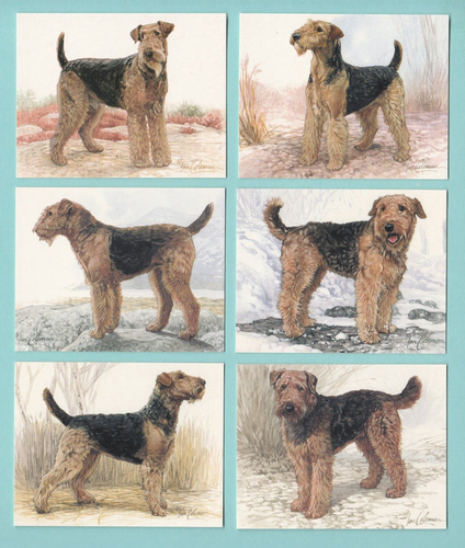 DOGS - AIREDALE TERRIERS - SET OF L6 CARDS - IMP. PUBLISHING LTD. - 1999 - Picture 1 of 2