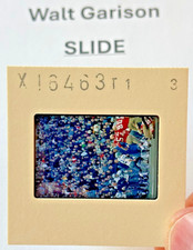 WALT GARRISON FOOTBALL Transparency TV MEDIA SLIDE - DALLAS COWBOYS