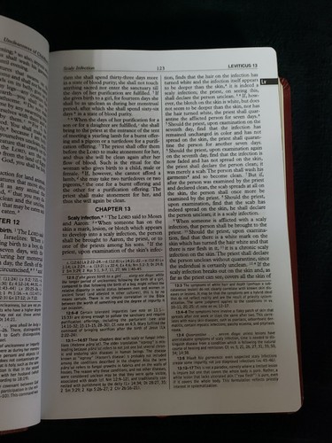 New American Bible Saint Joseph Medium Size Edition, Illustrated, Catholic Book - 第 6/8 張圖片