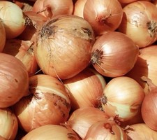 4 Kg Of Brown Onions Premium Quality Fresh 2.75 per kilo