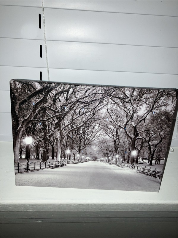 Winter Scene LED Battery Light Up Lighted Canvas Picture Wall Tabletop Frame Art