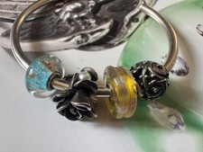 Trollbeads Bangle And Beads