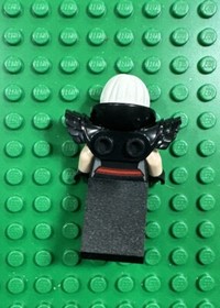 LEGO Batman Movie Magpie Minifigure 70903 sh333 DC comics Marvel Sh0333