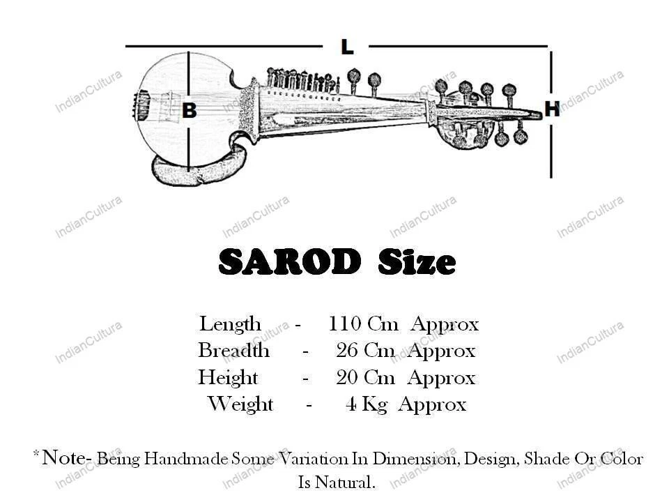 Especial Ali Akbar Khan Estilo Sarod con Tumba - Bolsa de tela acolchada Foto 4 de 4